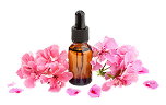 Geranium Oil