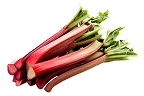 Rhubarb