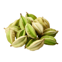  Cardamom