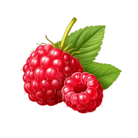 Raspberry