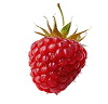  Raspberry
